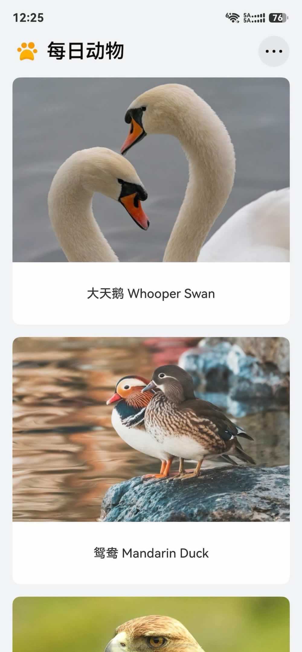 App截图